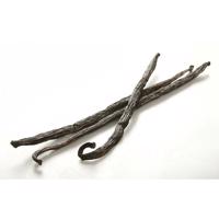Bourbon vaníliarúd (12-17 cm, 1 db)