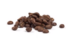 INDIA ROBUSTA PARCHMENT AB BIO – szemes kávé, 100g