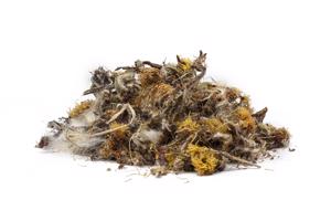 MARTILAPU VIRÁGA BIO  (Tussilago farfara) - gyógynövény, 1000g