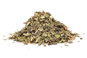 NANA MENTA (Mentha spicata), 100g